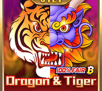 Dragon Tiger